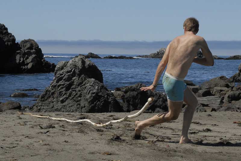 Kelp Attack