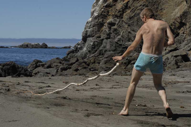 Kelp Attack
