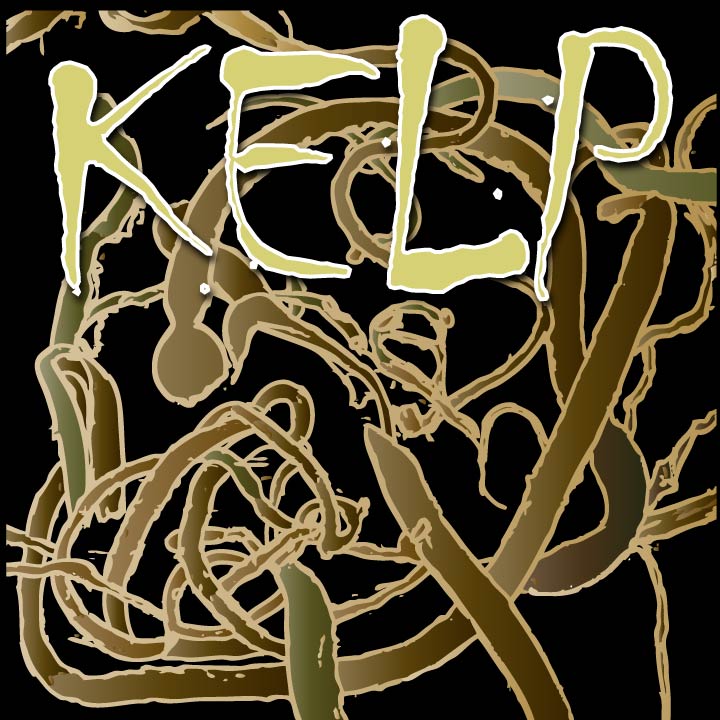 kelpshirt kelpshirt